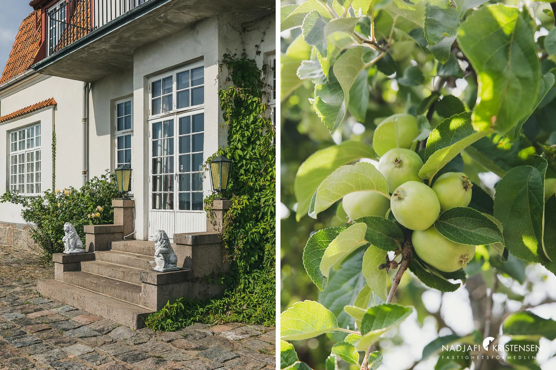 Sekelskifte med Skälderviken i blickfånget
