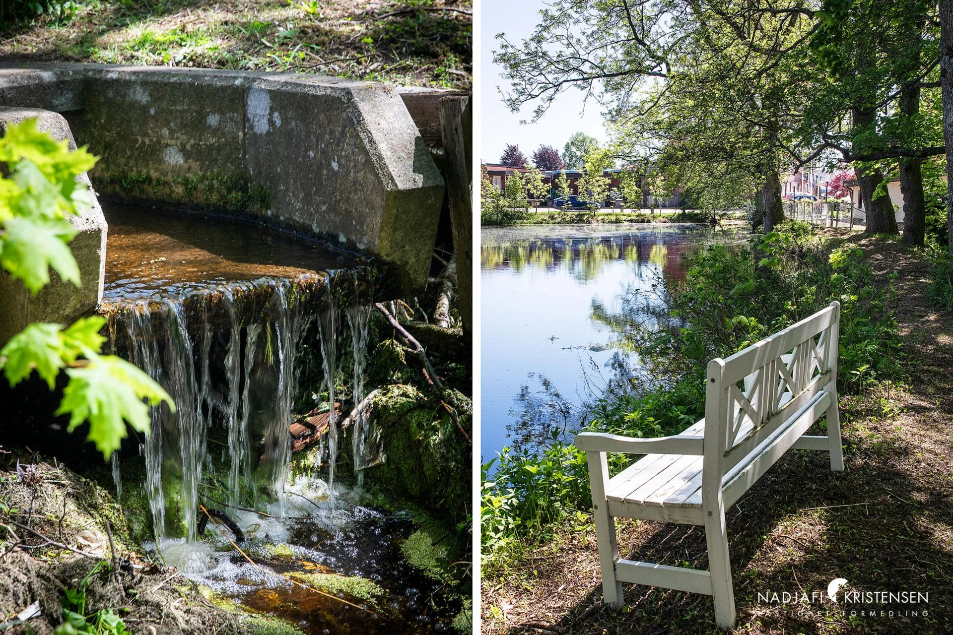 Mångsidig fastighet med stora möjligheter i centrala Hjärnarp