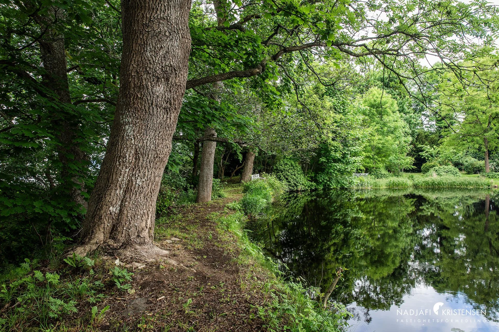 Mångsidig fastighet med stora möjligheter i centrala Hjärnarp