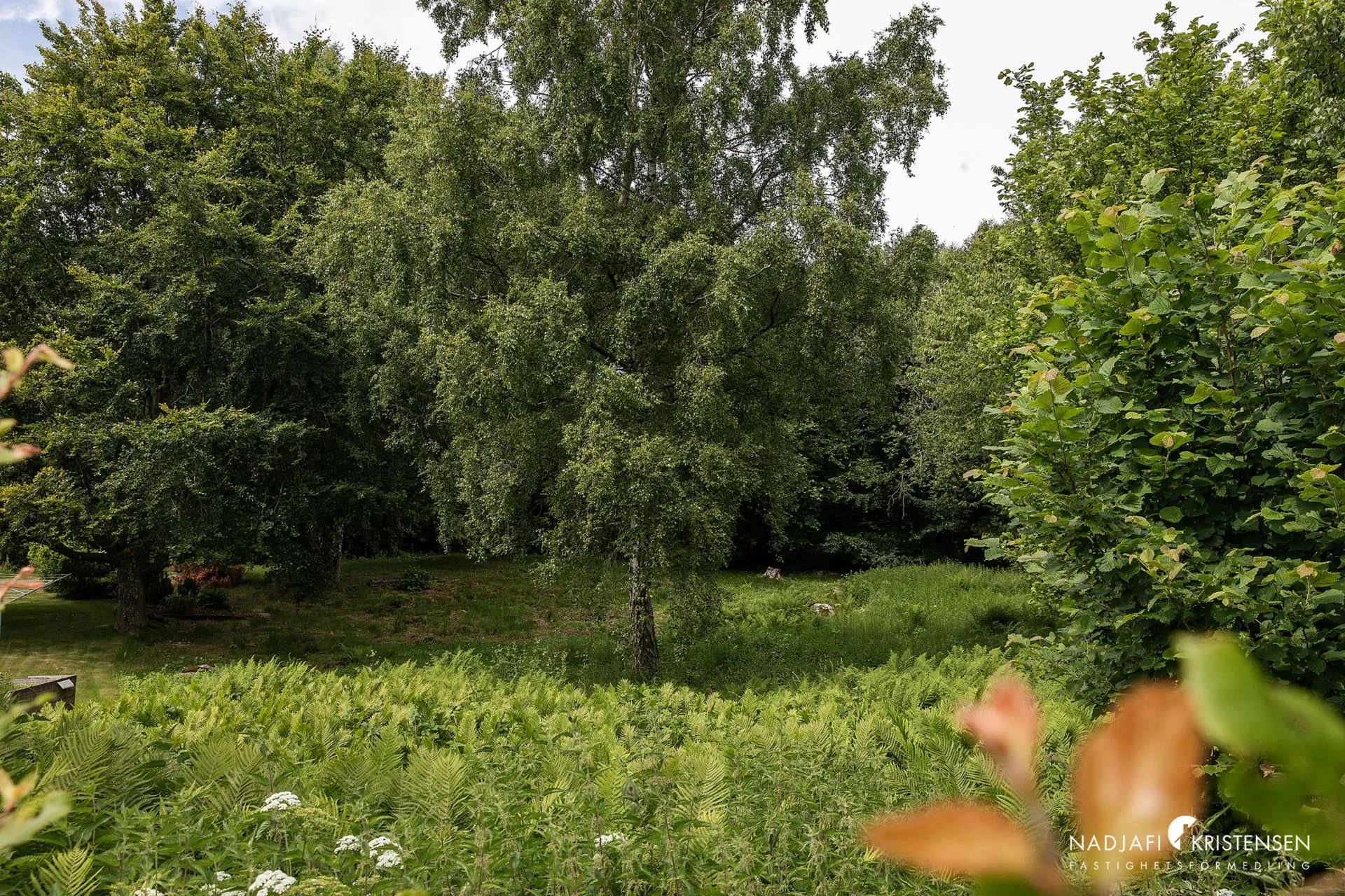 Korsvirkesdröm med naturen som granne