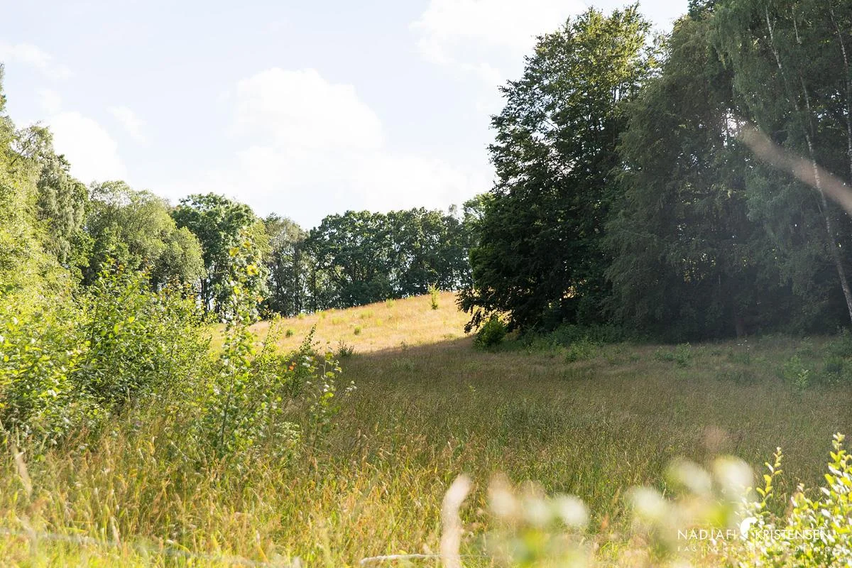 Trevligt radhus med närhet till både natur och centrala Båstad