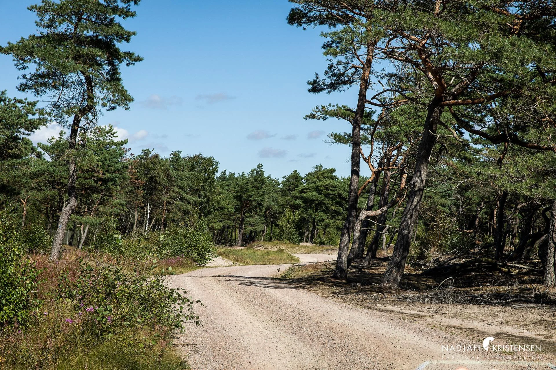 Modernt hem i 2-plan med dekorativa tillval
